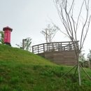 중앙동229 이미지