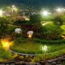 살랑살랑 이미지