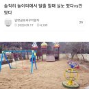 놀이터에서 탈출할때 국룰 이미지