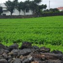 복인 민박 이미지