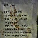 한반도뗏목마을 이미지