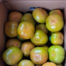 지희농장 이미지