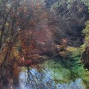 길따라행운 이미지