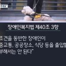 워킹퍼피 이미지