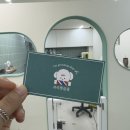 쉬리펫살롱 이미지