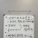 울릉도회오징어