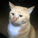 유한회사 영은상사 | 남들은 이미 본 거 최근 본 후기 - 뒷북 스포주의