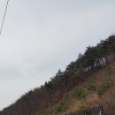도래재로 네이버블로그