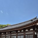 신동-53 이미지
