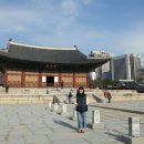 서재 흰둥이네 | 서울 덕수궁 석조전 대한제국역사관 돈덕전 정관헌 고궁 기행문