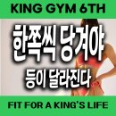 시도6호선 | 부평시장역헬스장 등운동 핵심: 킹짐6호점이 추천하는 원암 체스트 서포티드 로우