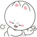 누리애견미용 이미지