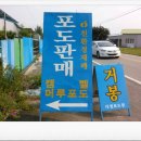 다정포도원 이미지