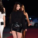 다솜 이미지
