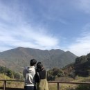 홍계곡민박 이미지