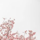 구미머리방