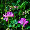 함평 천주교회 이미지