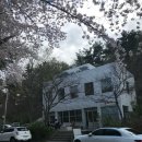 호수로가는가 | 군산 은파호수공원 카페 뷰 좋은 로디드아파트먼트 방문기