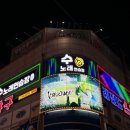 신나는노래연습장 이미지