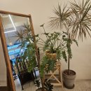 데이롱 카페 구로구일점 | 고척카페 FRIHET 카페프리헷