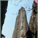 추억카페 이미지