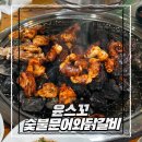 W펜션/강촌숯불닭갈비 | 강촌 색다른 춘천닭갈비 윤스꼬 맥반석 숯불문어와닭갈비