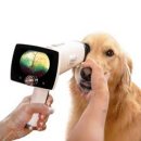 Dr.DOG 동물의료센터 | 강아지 고양이 안과 진료부터 백내장 수술까지, 여의도 영등포 동물병원 경인동물의료센터