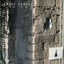 광진구자양동카페 사적인 작업실 카페공부 카페데이트 분위기 좋은 카페