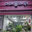이레플라워 이미지