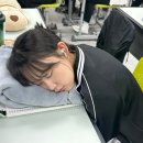 황복농장 이미지