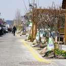 숲속에한옥 이미지