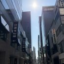 푸리바바 | 도쿄 쇼핑 빔즈 긴자점 후기