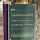 (별장길따라 동네배움터) 아이와 함께 하는 인문학기행 | 여행 365. 강원도 영월 청령포 여행(결과 &amp; 후기)