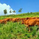 다움농장 이미지