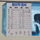 금산바다횟집 | 대연동횟집 모듬회 하나로 코스처럼 낭만어부횟집 재방문