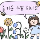 러블리핏 이미지