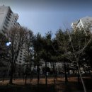 보람아파트 이미지