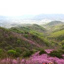 장수월드 이미지