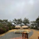 송전3구 | 강원 양양해피빌 대형 독채펜션 이용후기 대가족13명(내돈내산)