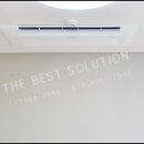 근화베아체비올레 이미지