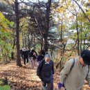 장학리노루목길(봄내길 8코스) 티스토리