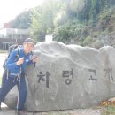 밤나무골 Daum카페
