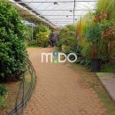 고일농장 이미지