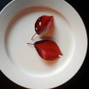 무주인게스트하우스 이미지