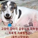 서평택약국 이미지