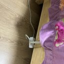 또바기콘도 이미지