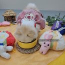 (주)아이지디 네이버블로그