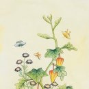 그림그리다 이미지