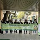 그린카펫 이미지