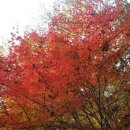 노래교실(월) 이미지